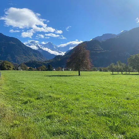 Unique Tiny Eco With Gorgeous Views To Jungfrau Massiv Casa de Férias *