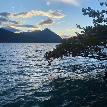 Casa de Férias Unique Tiny Eco With Gorgeous Views To Jungfrau Massiv Interlaken