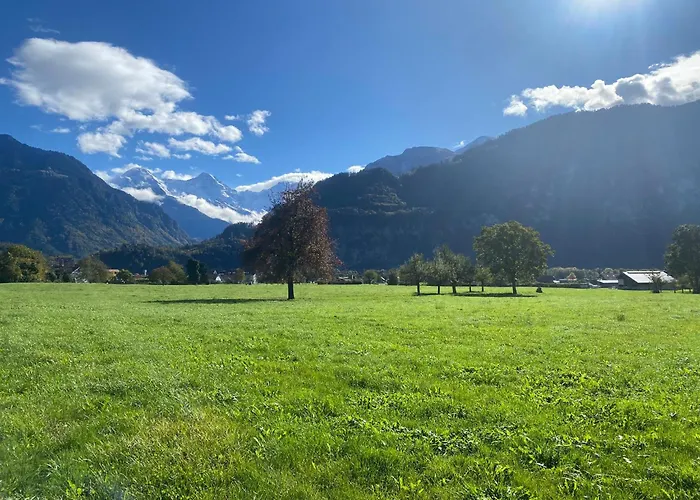 Unique Tiny Eco With Gorgeous Views To Jungfrau Massiv Будинок відпочинку