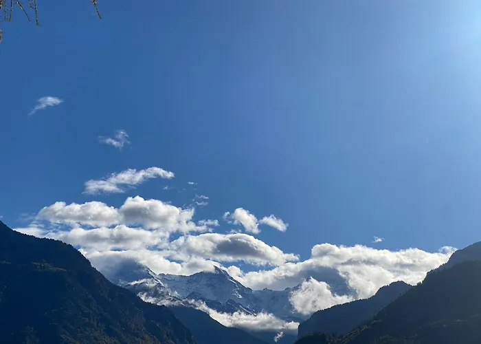 度假居 Unique Tiny Eco With Gorgeous Views To Jungfrau Massiv 因特拉肯