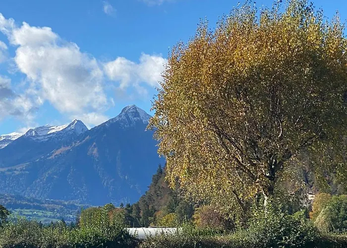 Unique Tiny Eco With Gorgeous Views To Jungfrau Massiv 因特拉肯