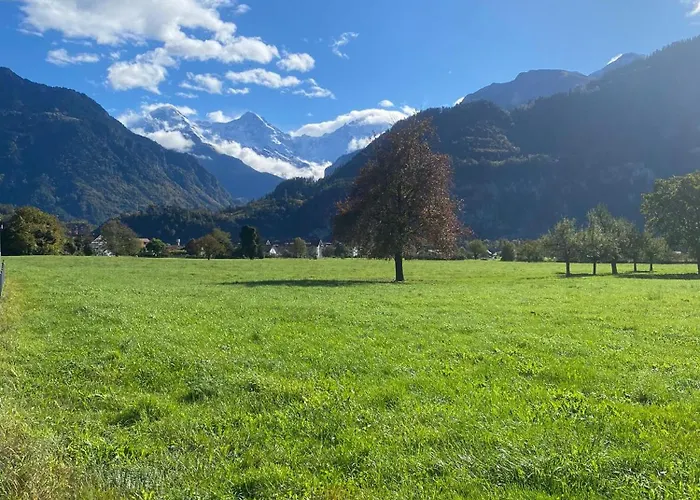 Unique Tiny Eco With Gorgeous Views To Jungfrau Massiv 度假居 *