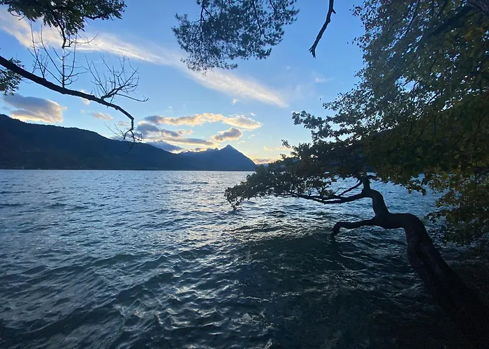 Unique Tiny Eco With Gorgeous Views To Jungfrau Massiv 度假居