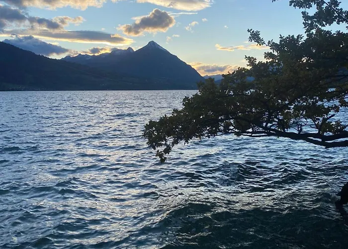 度假居 Unique Tiny Eco With Gorgeous Views To Jungfrau Massiv 因特拉肯