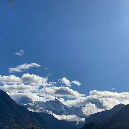 Dom wakacyjny Unique Tiny Eco With Gorgeous Views To Jungfrau Massiv Interlaken